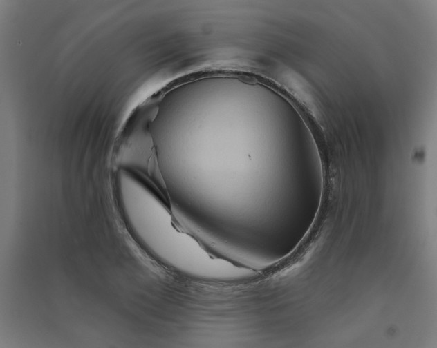 X0000091590981200708201226