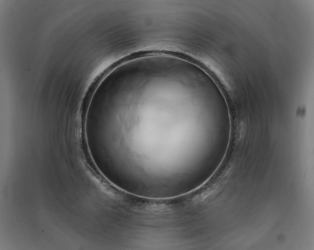 X0000091590982200708201226