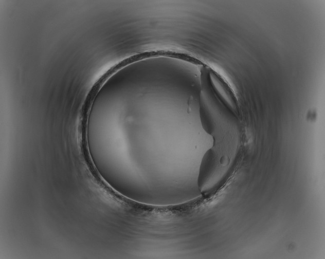 X0000091590983200708201226