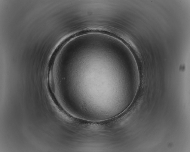X0000091590984200708201226