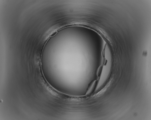 X0000091590985200708201226