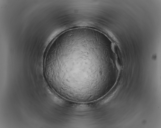 X0000091590986200708201226