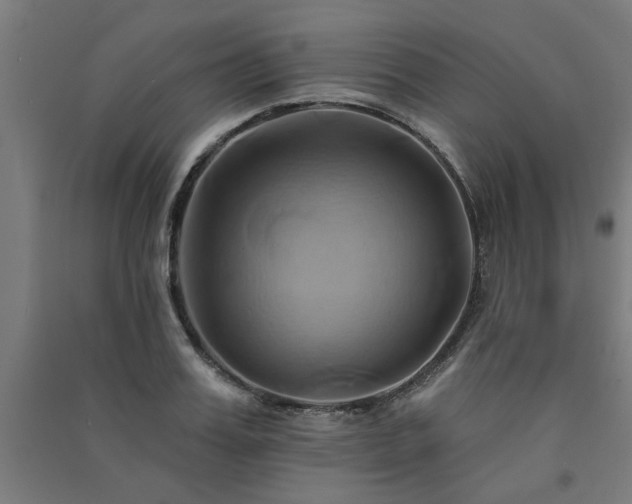 X0000091590987200708201226