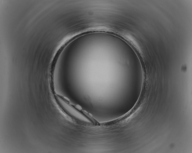 X0000091590989200708201226