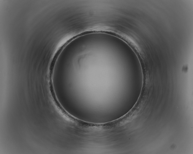 X0000091590990200708201226