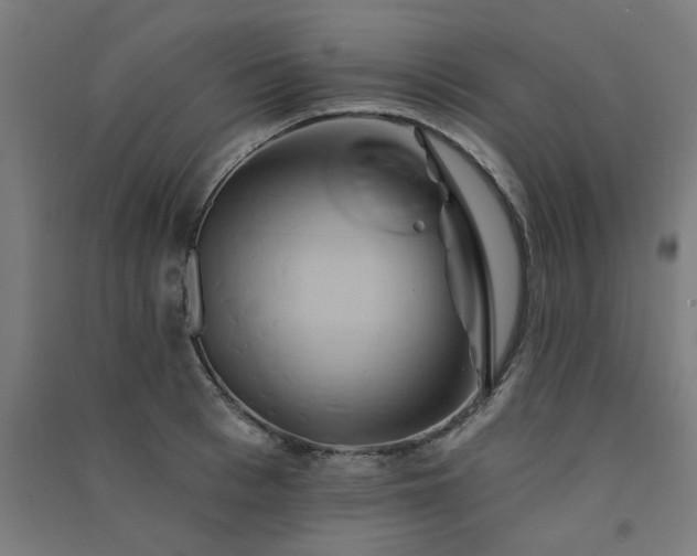X0000091590993200708201226