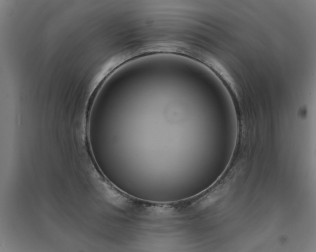 X0000091590994200708201226