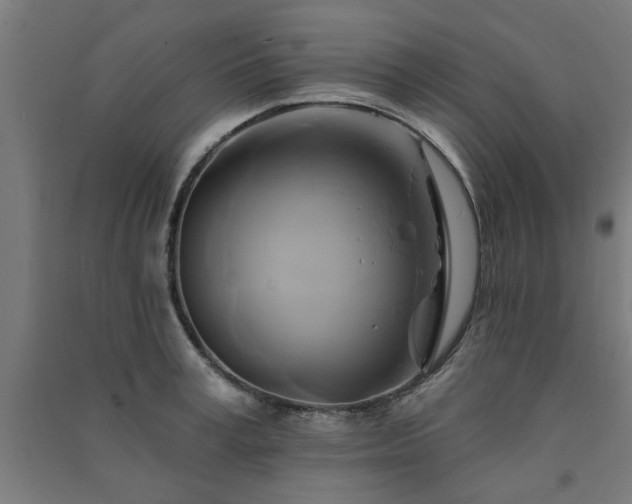 X0000091590995200708201226
