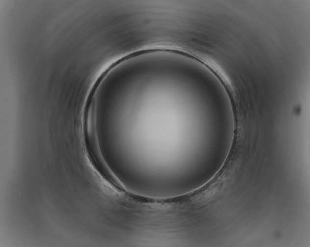 X0000091590996200708201226