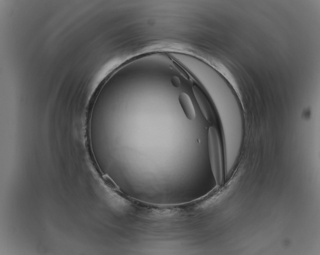 X0000091590997200708201226