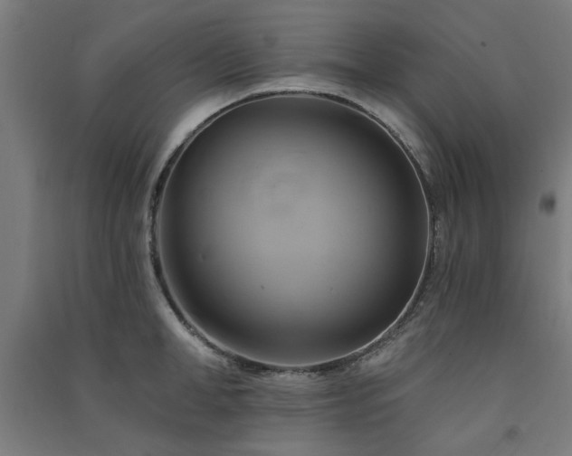 X0000091590998200708201226