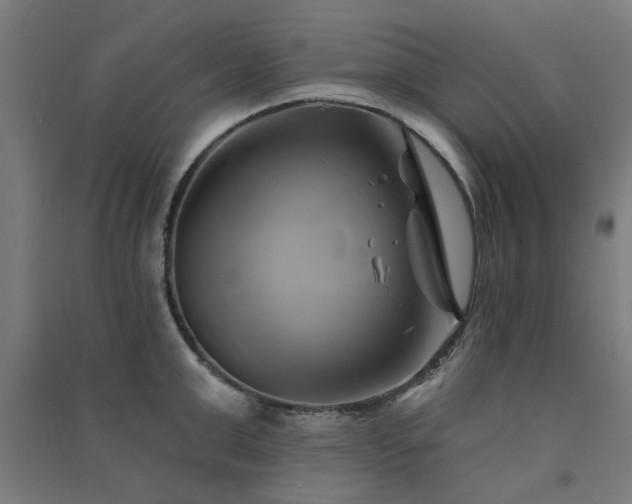 X0000091590999200708201226
