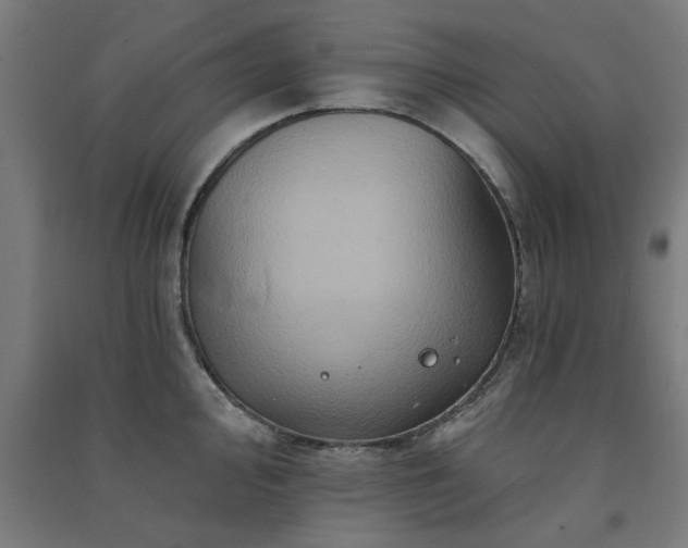 X0000091591000200708201226