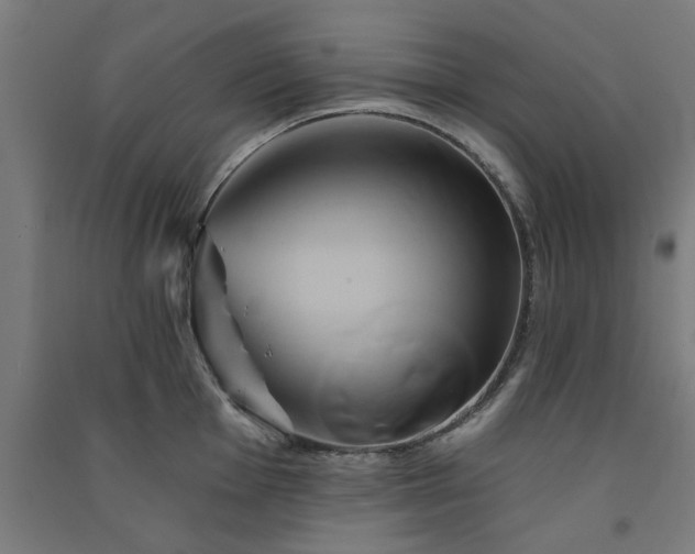 X0000091591001200708201226