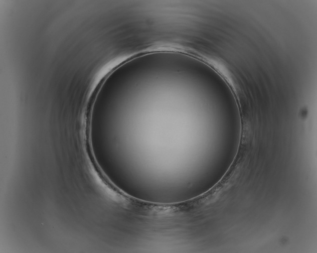X0000091591003200708201226