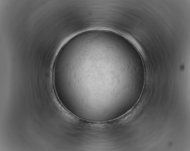 X0000091591004200708201226