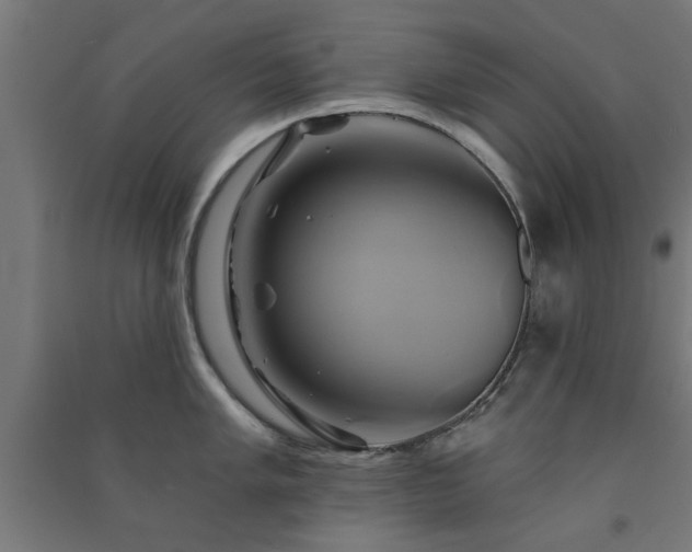 X0000091591005200708201226