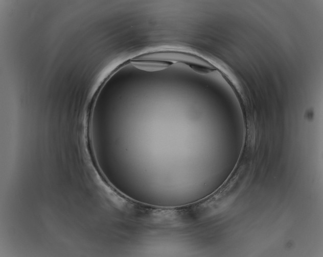X0000091591006200708201226