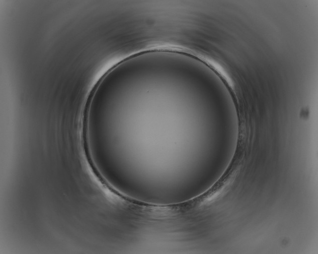 X0000091591007200708201226