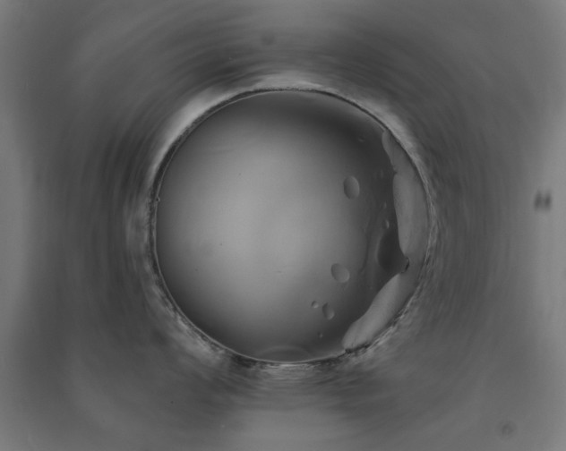 X0000091591008200708201226