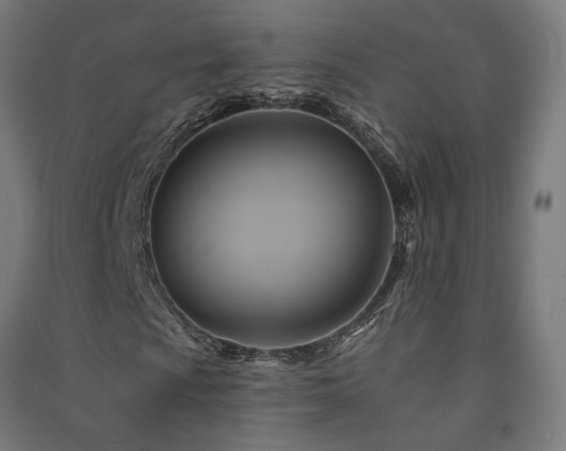 X0000091591009200708201225