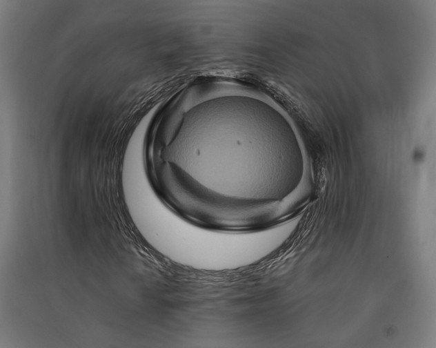 X0000091591010200708201225