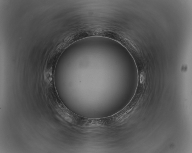 X0000091591011200708201225