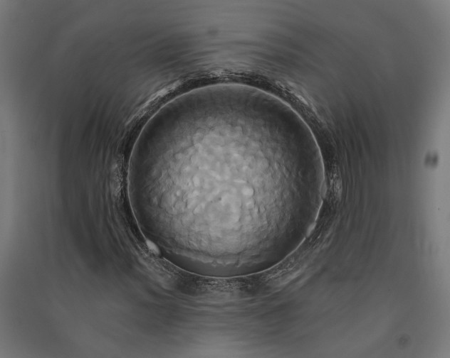 X0000091591012200708201225