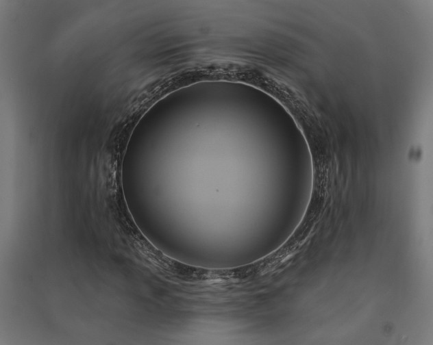 X0000091591013200708201225