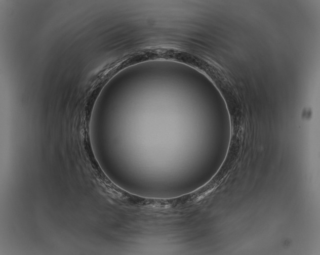 X0000091591014200708201225