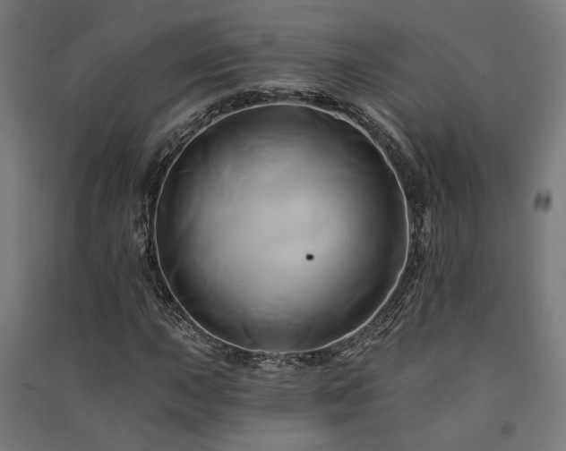 X0000091591015200708201225