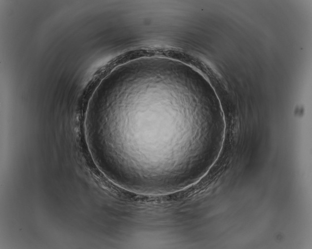 X0000091591016200708201225
