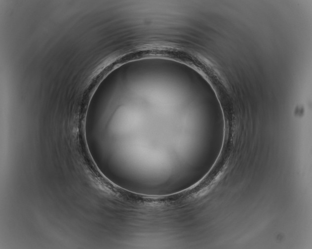 X0000091591017200708201225