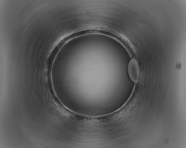 X0000091591019200708201225