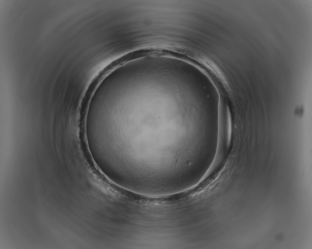 X0000091591020200708201225