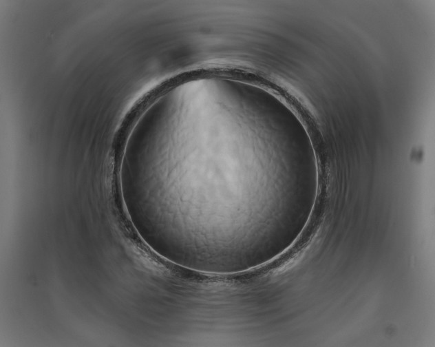 X0000091591021200708201225