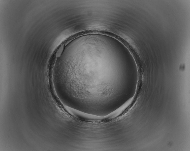 X0000091591022200708201225
