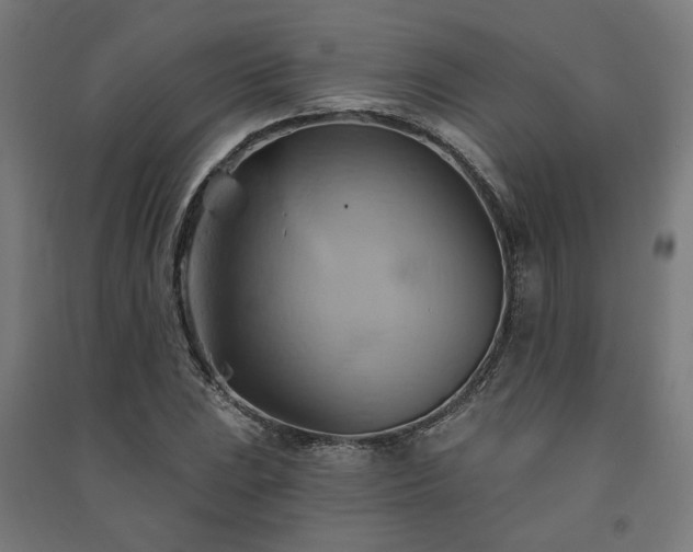 X0000091591023200708201225