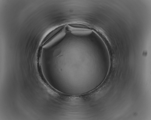 X0000091591024200708201225