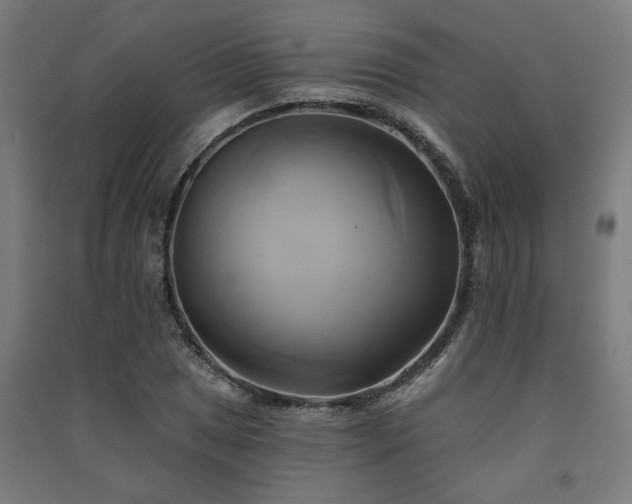 X0000091591025200708201225