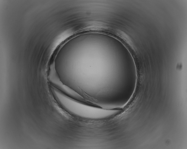 X0000091591026200708201225