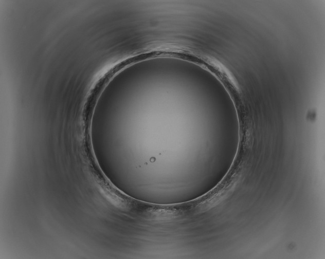 X0000091591027200708201225