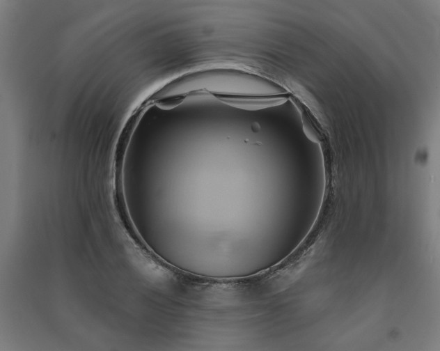 X0000091591028200708201225