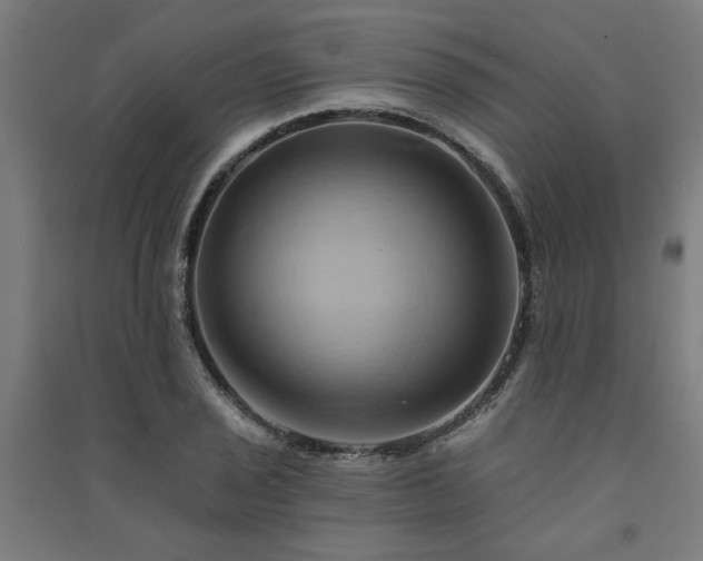 X0000091591029200708201225