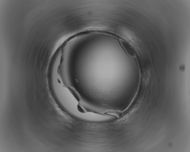 X0000091591030200708201225
