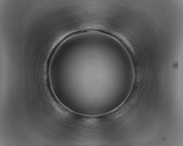 X0000091591031200708201225