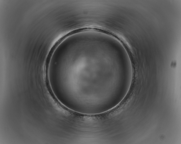 X0000091591032200708201225