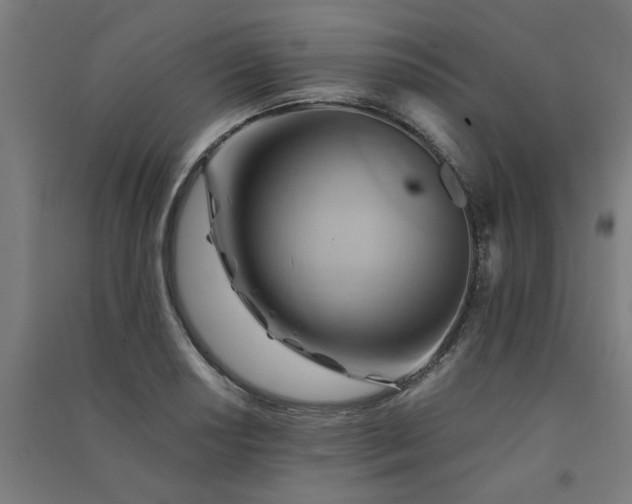 X0000091591034200708201225