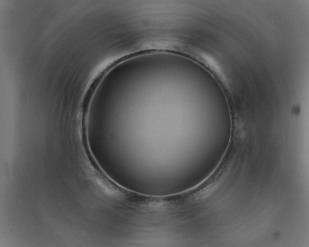 X0000091591035200708201225