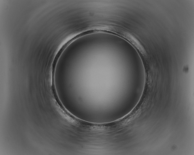 X0000091591036200708201225